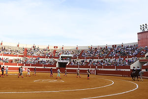 Corrida de toros Feria de Consolación 