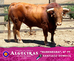 Los de Santiago domecq para Algeciras en fotos