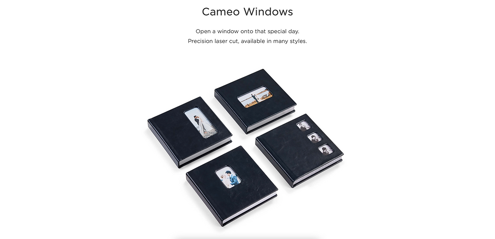 Miniatura: Flush Mount Album