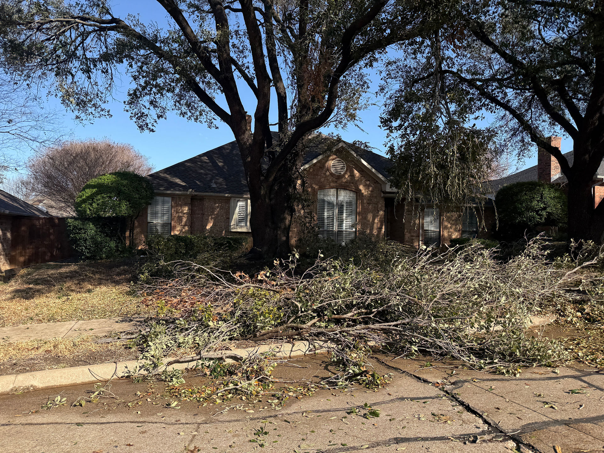 Storm Damage