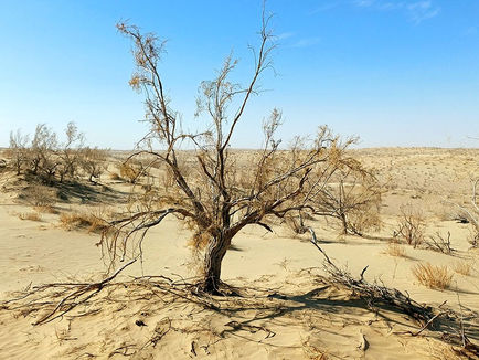 Central Asia Faces Growing Water Shortages, Experts Say, and Local Leaders Must Lead the Fix