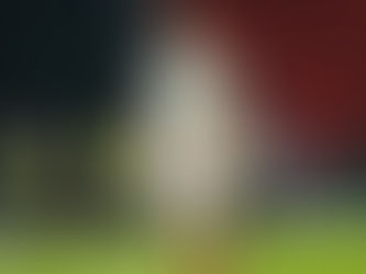 Самородов Отдал Ассист При Рекордном Голе Дзюбы В Самаре