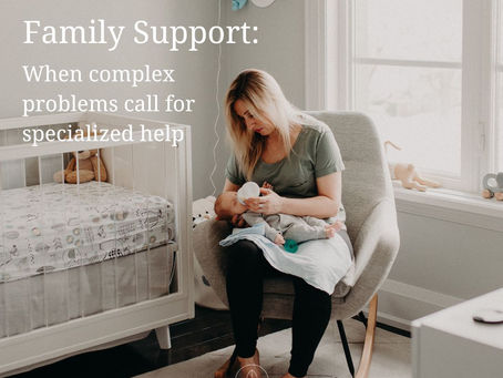 Family Support: When Complex Problems call for Specialized Help