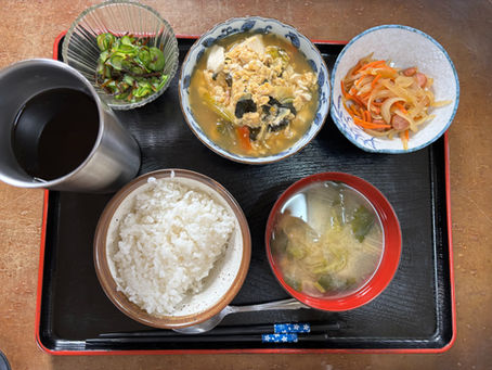 本日のメニュー