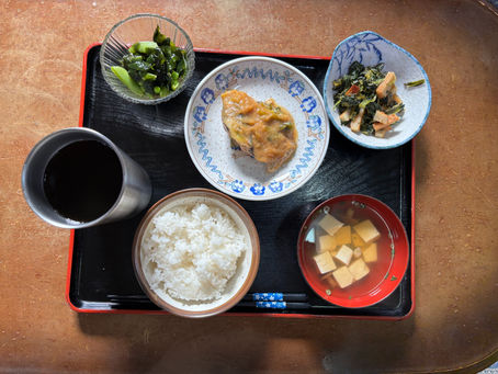 本日のメニュー