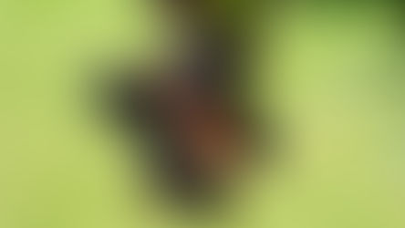 Hinter den Kulissen: Flo aus unserem Team