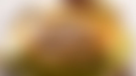 Pasta mit Radicchio tardivo und Gorgonzola