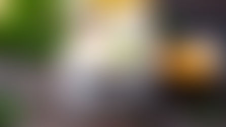 Selbstgemachte Mayonnaise