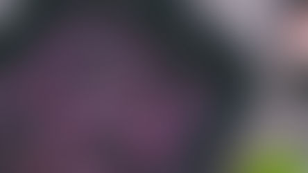 Winterliches Wurzelgemüse