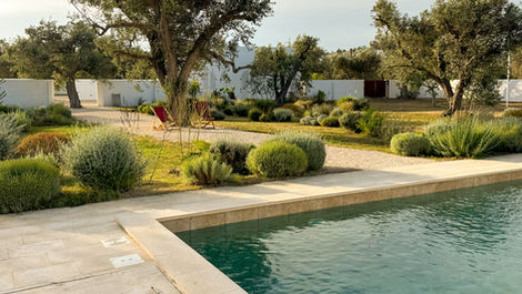 Natural swimming pool surrounded by olive trees at Borgo Gallana