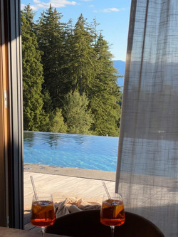 Infinity pool framed by forest and alpine landscape