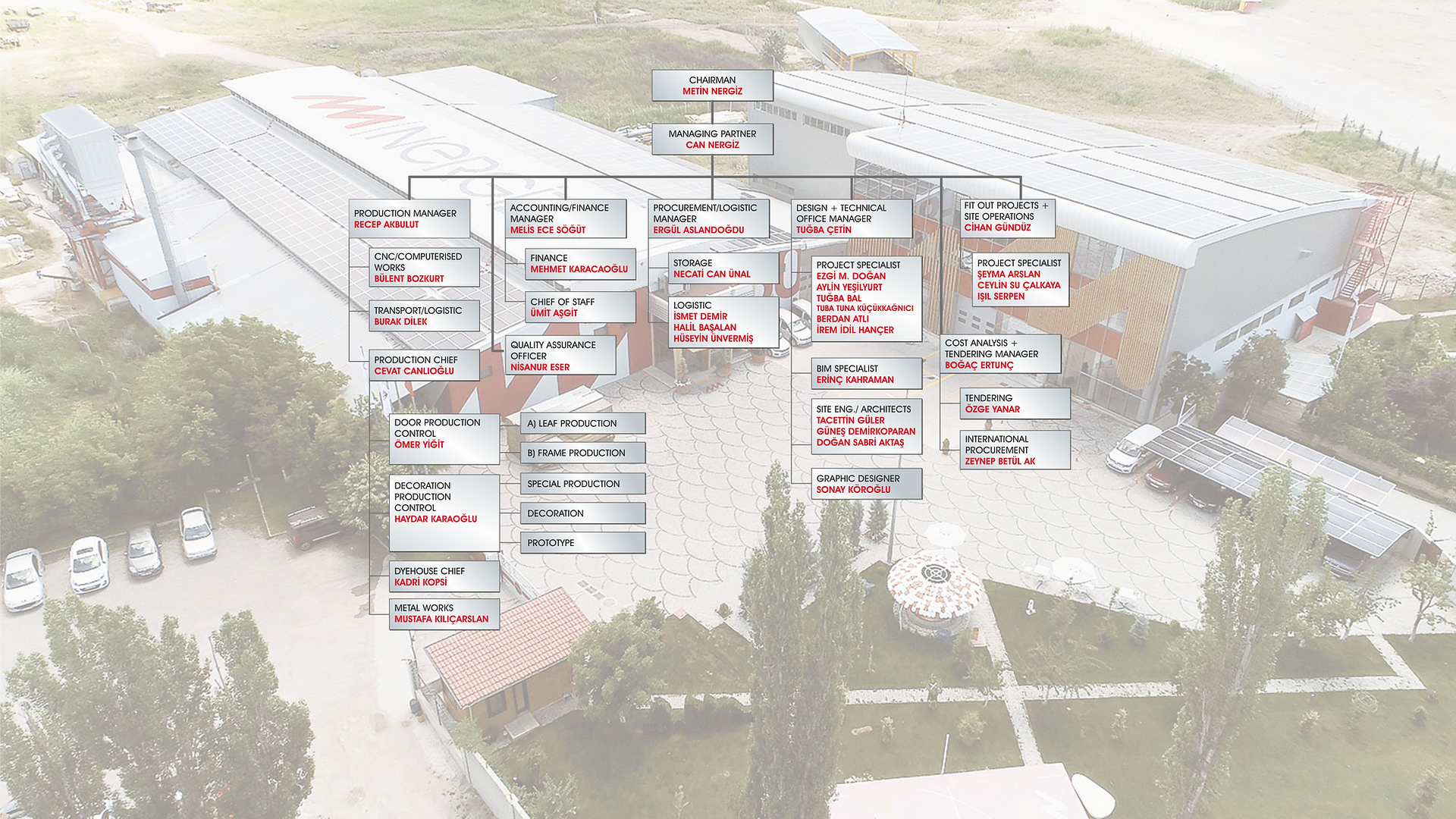 Organizasyon şeması web.png