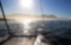 hermanus eco cruises