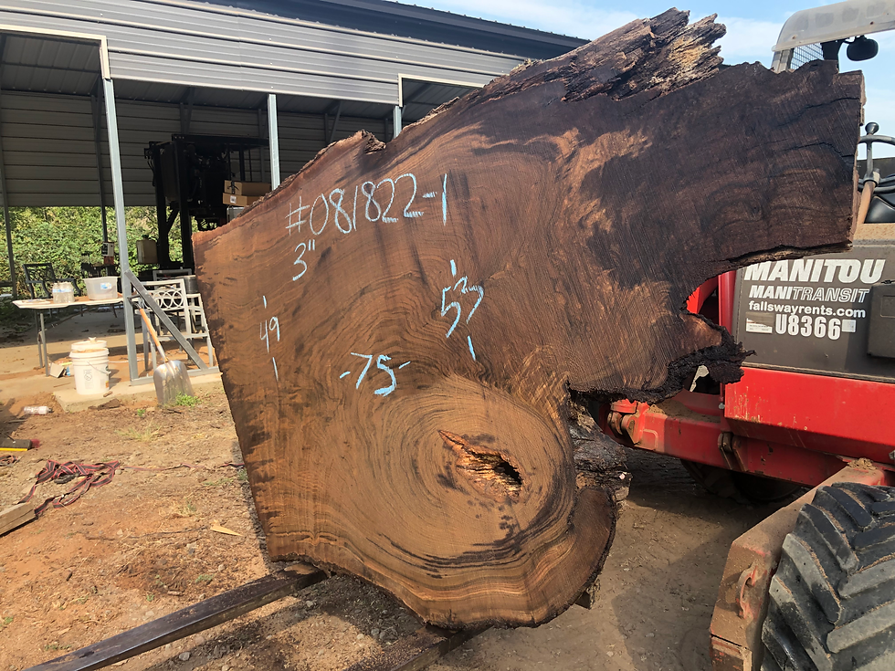 Thumbnail: Black Walnut 081822-1