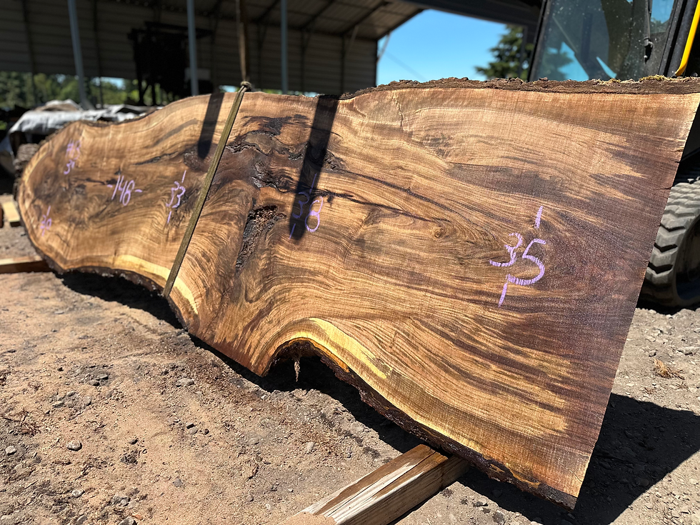 Thumbnail: Black Walnut 052824-13