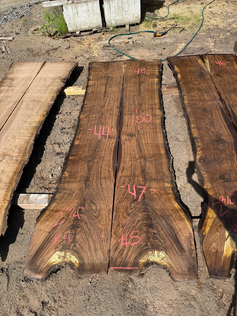 Thumbnail: Black Walnut Bookmatch 052924-4/5