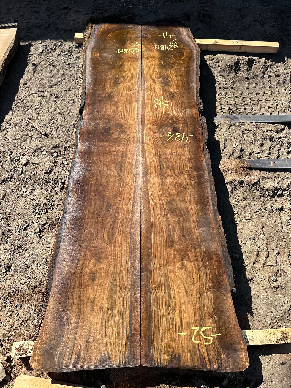 Thumbnail: Black Walnut Bookmatch 091923-23/24