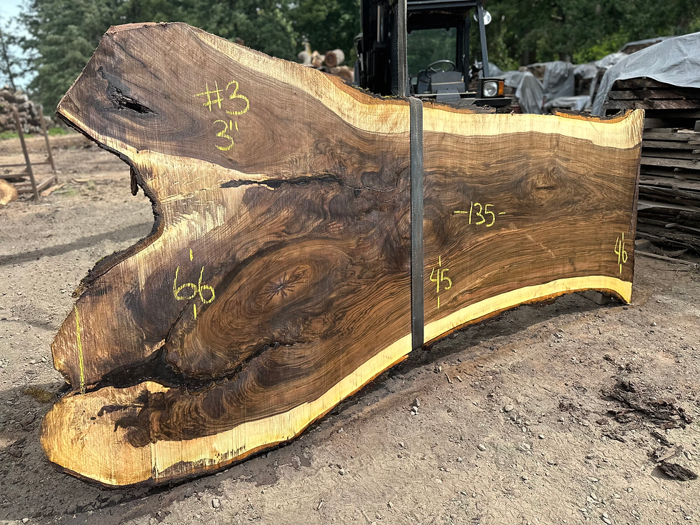 Thumbnail: Black Walnut 060623-3