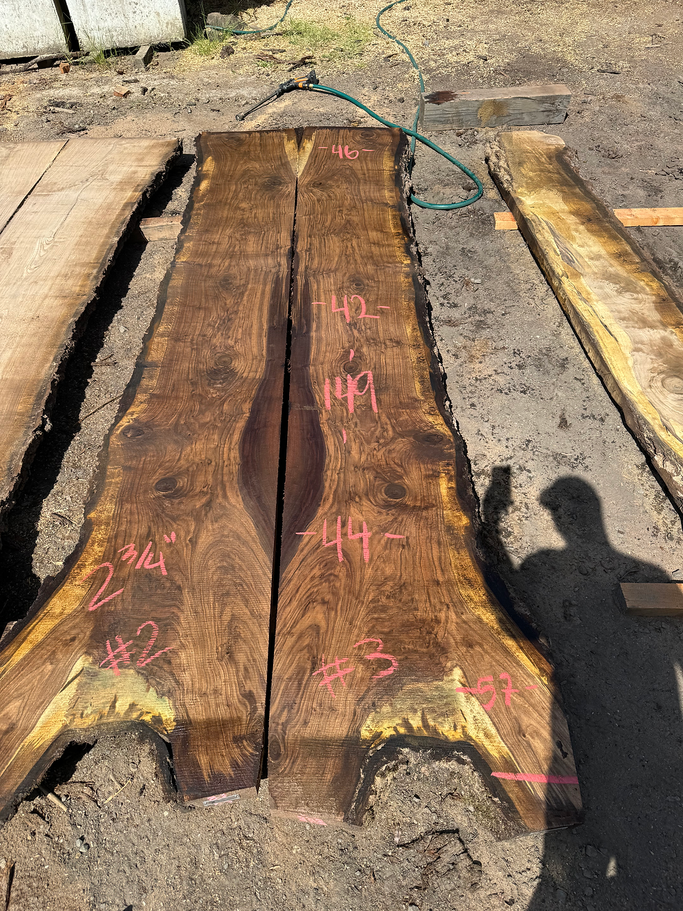 Thumbnail: Black Walnut Bookmatch 052924-2/3