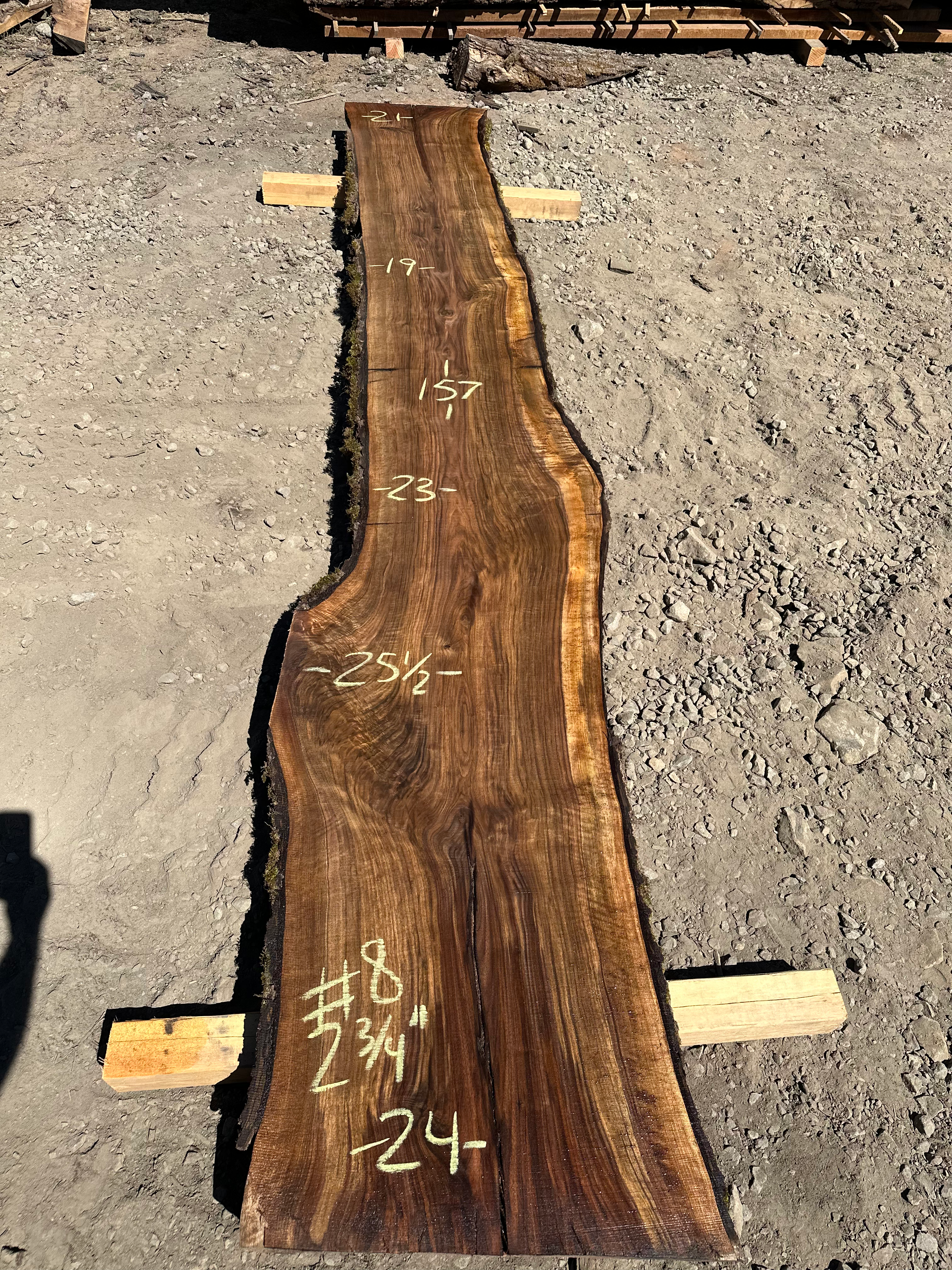 Black Walnut 081023-8
