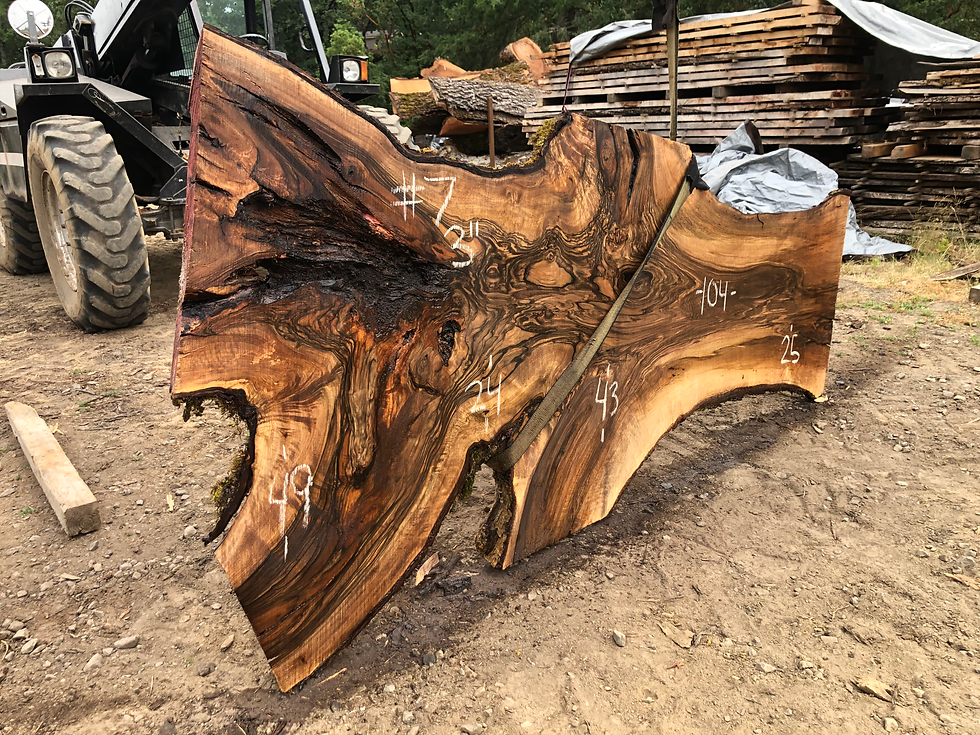 Thumbnail: English Walnut 071522-7