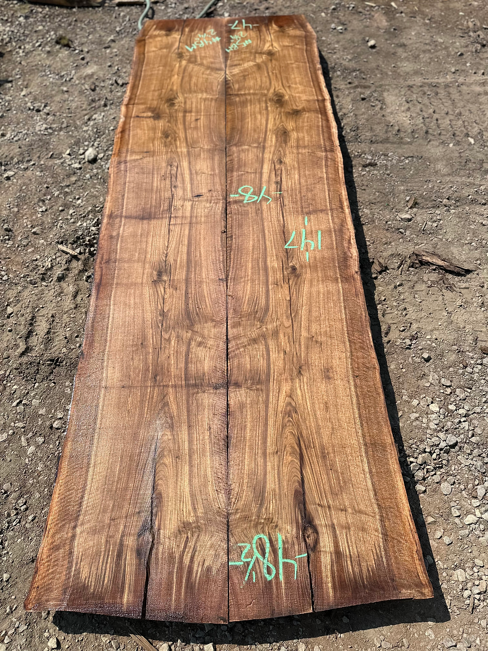 Thumbnail: Black Walnut Bookmatch 082523-4/5