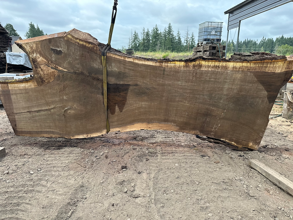 Thumbnail: Black Walnut 060623-8