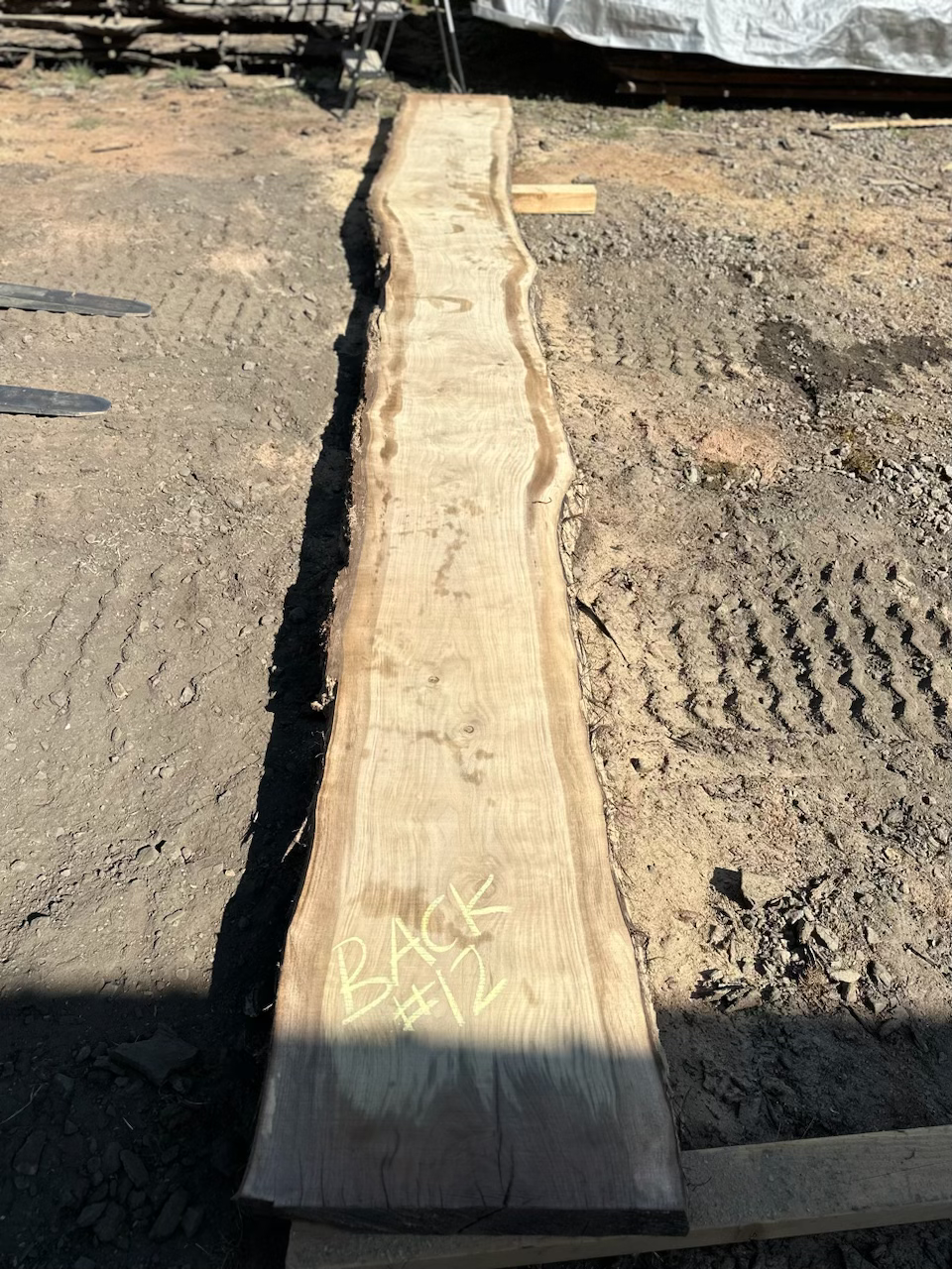 Thumbnail: Black Walnut 091323-12