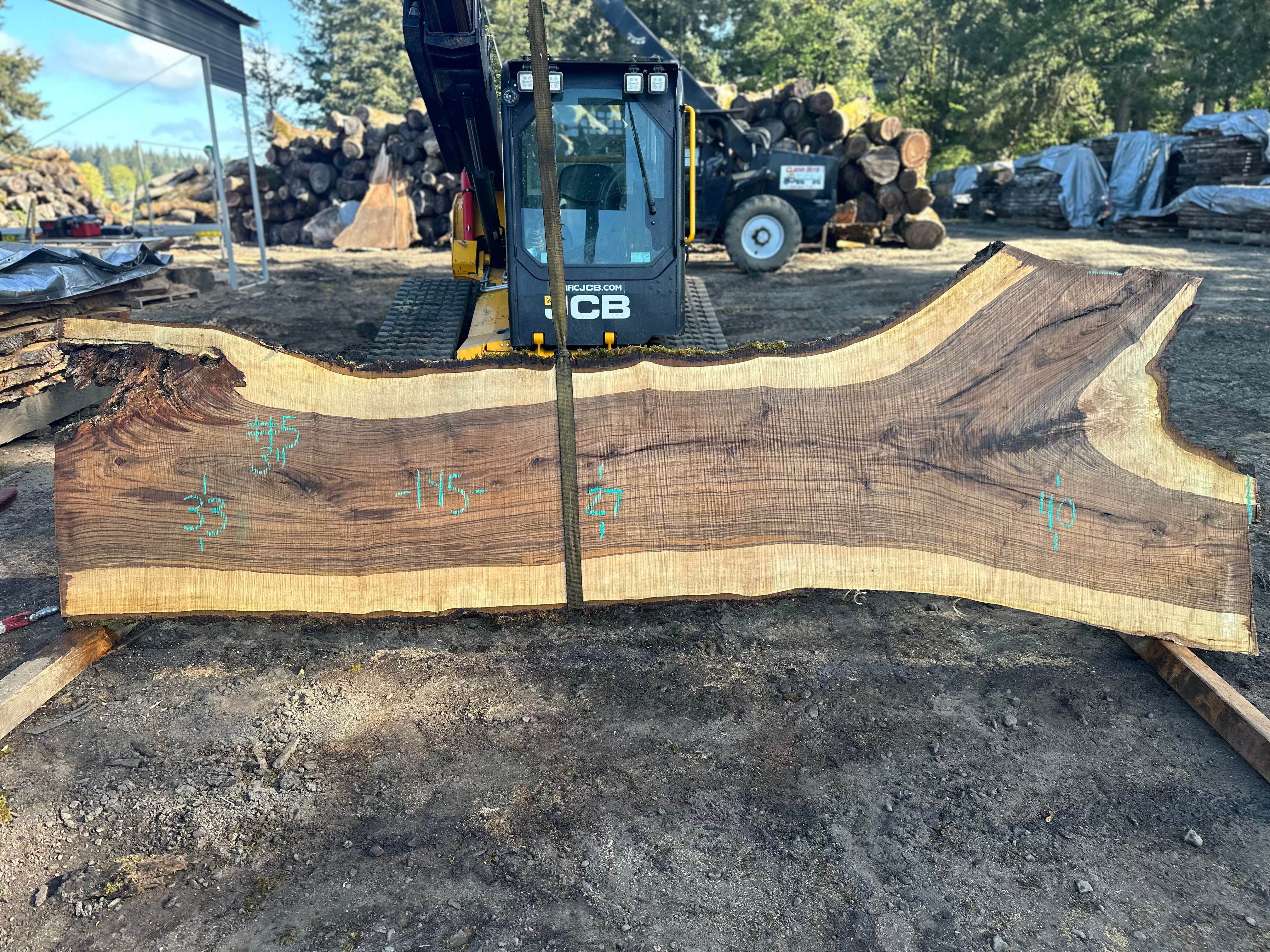 Bastogne Walnut 041524-5