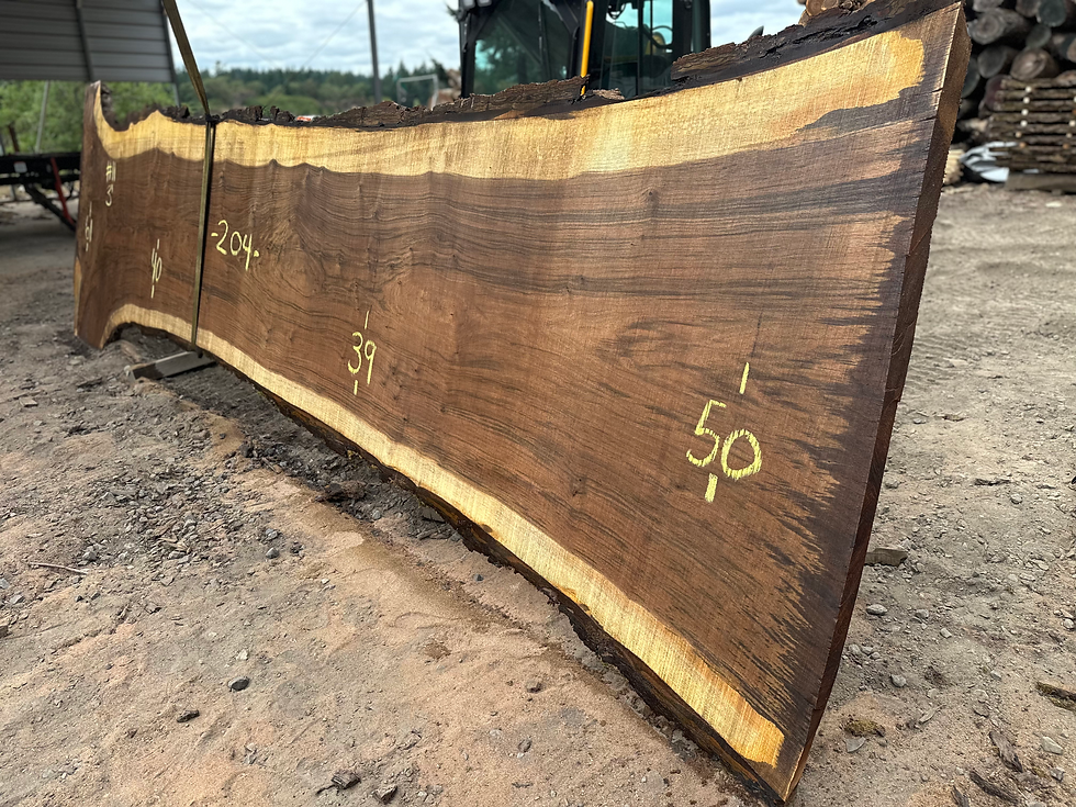 Thumbnail: Black Walnut 060723-11