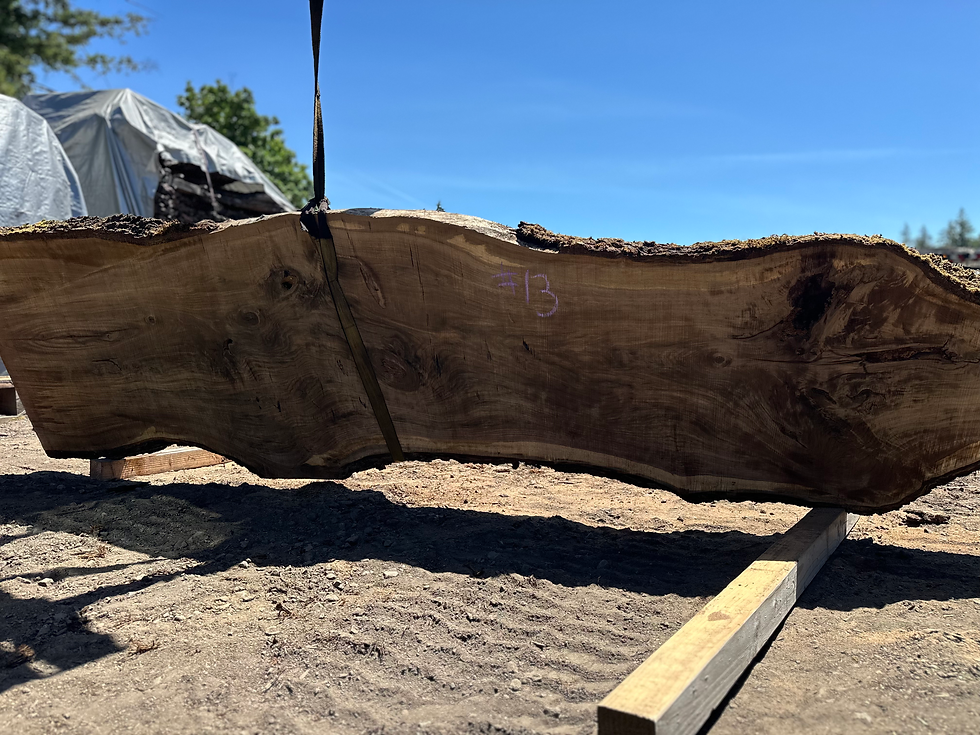Thumbnail: Black Walnut 052824-13