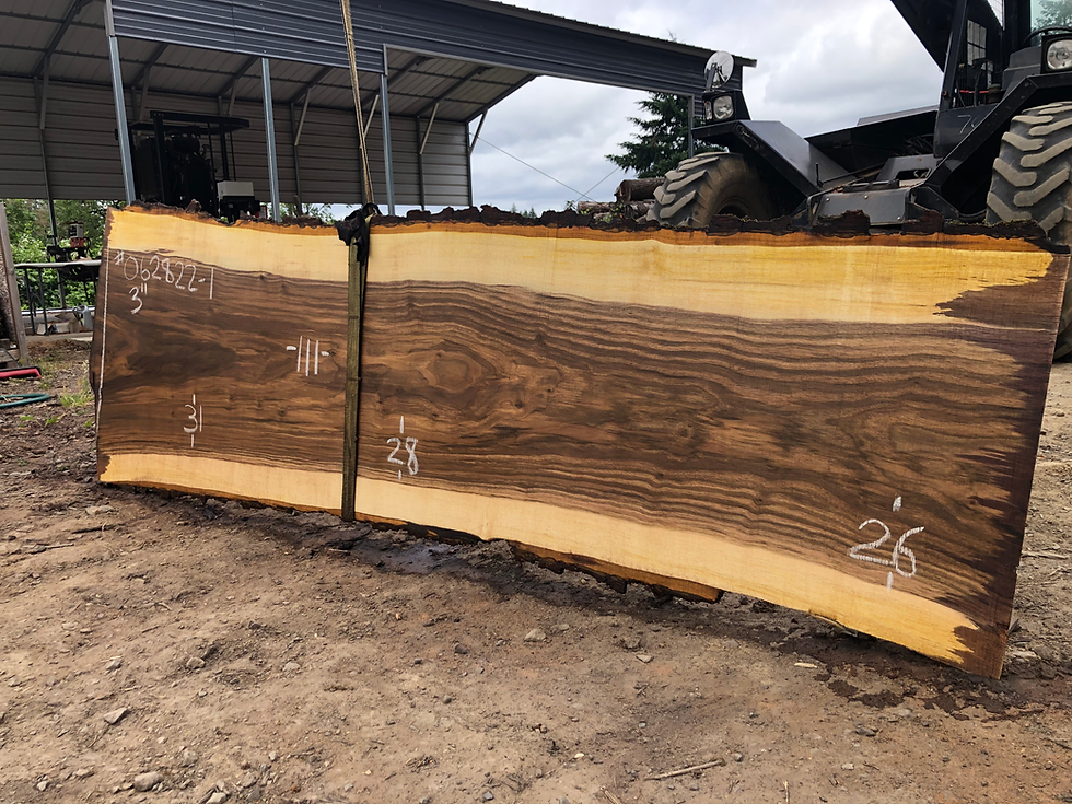 Thumbnail: Black Walnut 062822-1