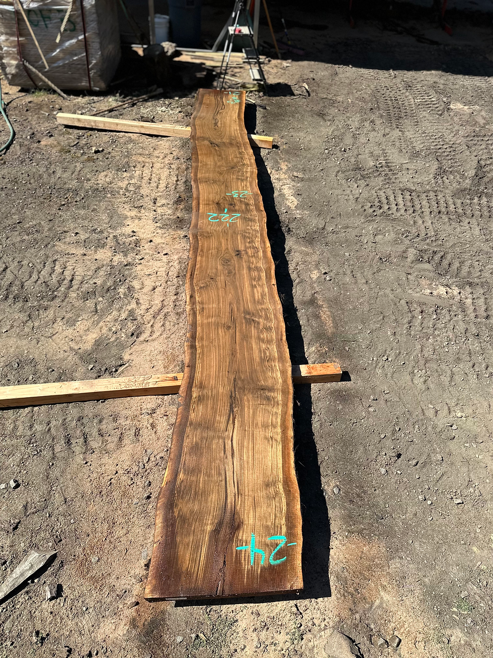 Thumbnail: Black Walnut 091323-4