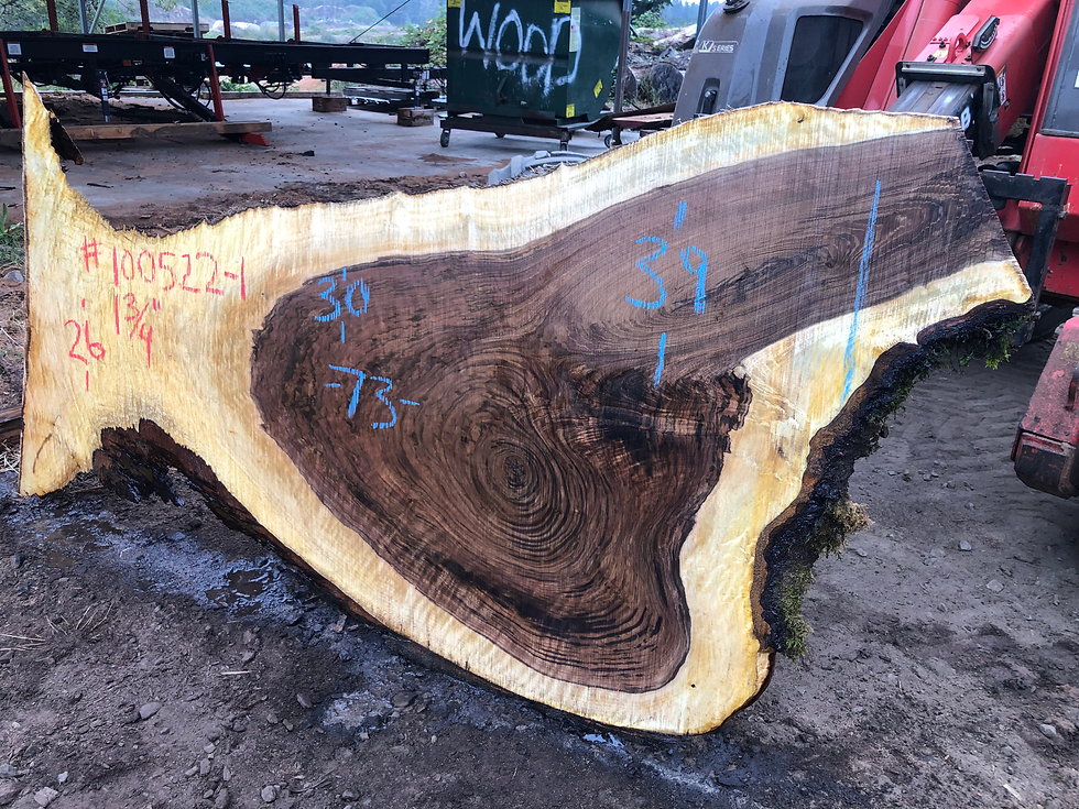 Thumbnail: Black Walnut 100522-1
