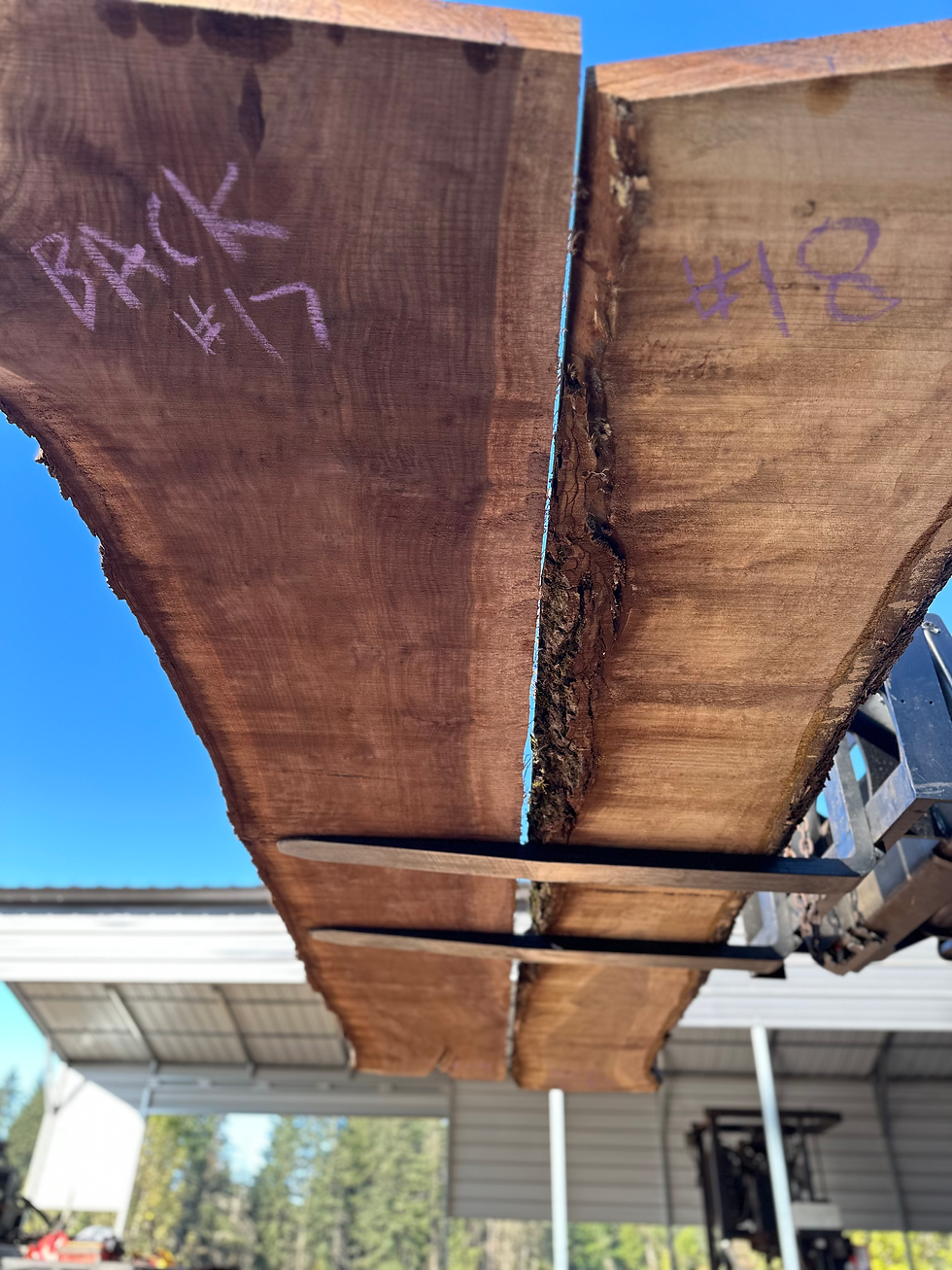 Thumbnail: Black Walnut Bookmatch 091923-17/18