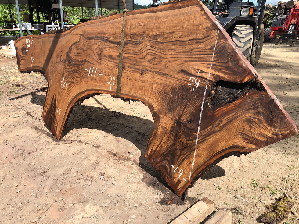 Thumbnail: Black Walnut 070722-12