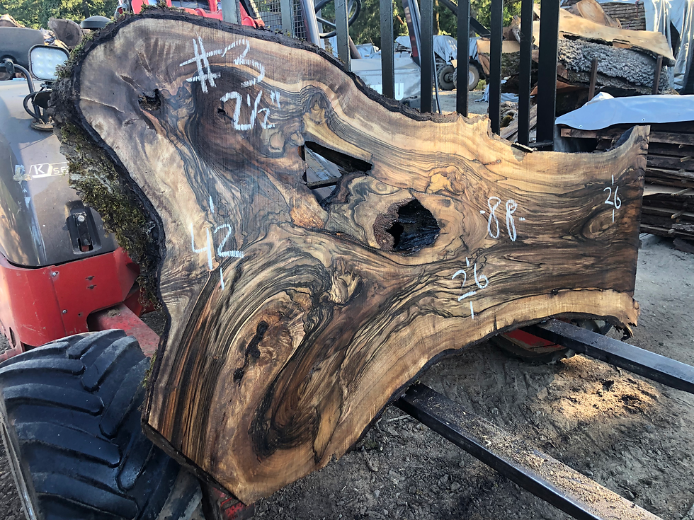 Thumbnail: Black Walnut 072622-3