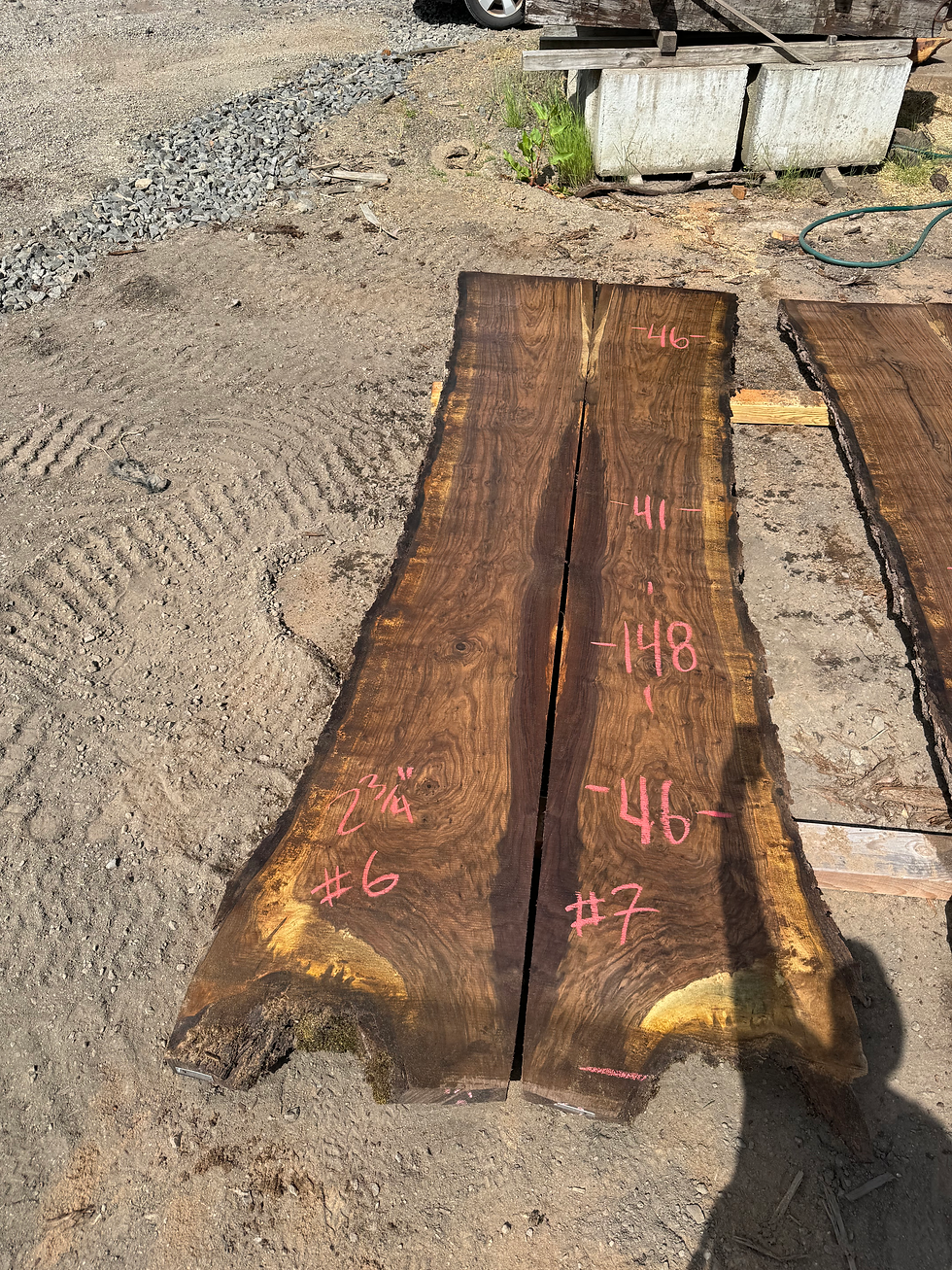 Thumbnail: Black Walnut Bookmatch 052924-6/7