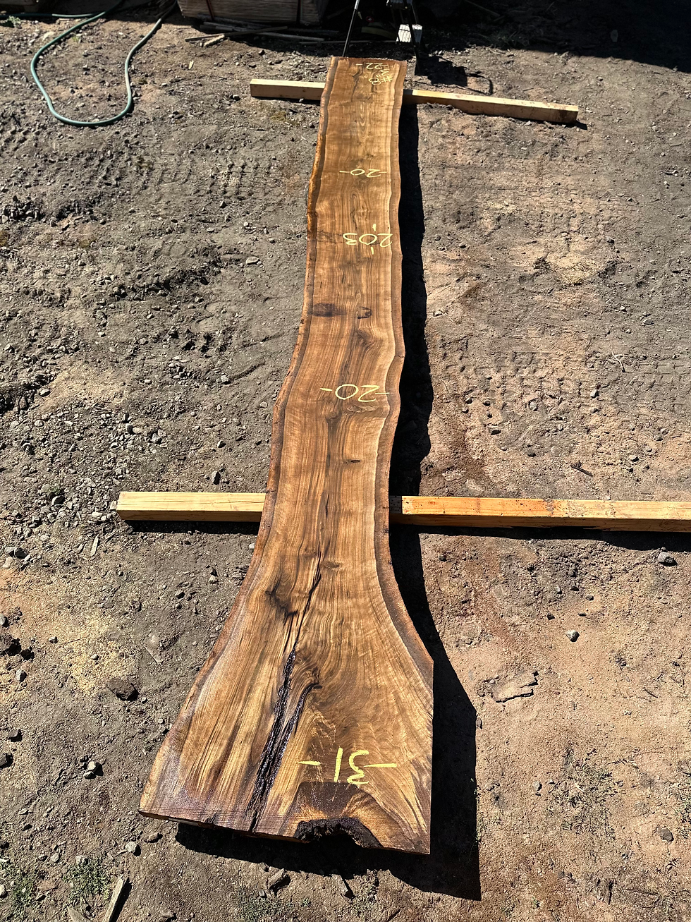 Thumbnail: Black Walnut 091323-8
