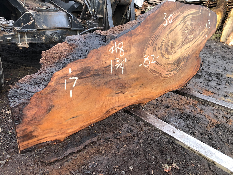 Thumbnail: Black Walnut 113022-8