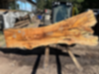 Maple 070725-12
