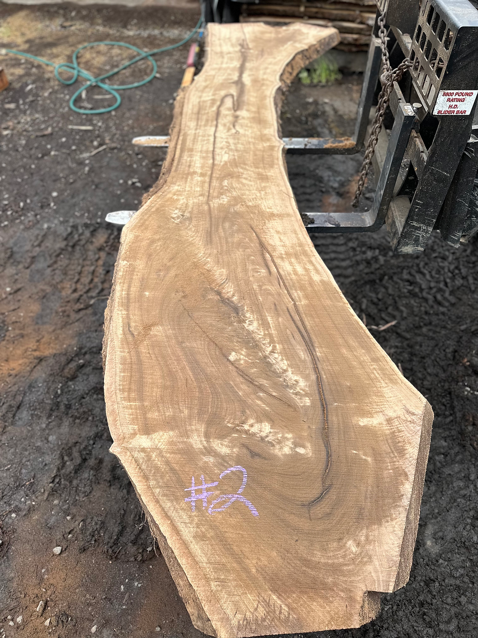Thumbnail: Black Walnut 060324-2