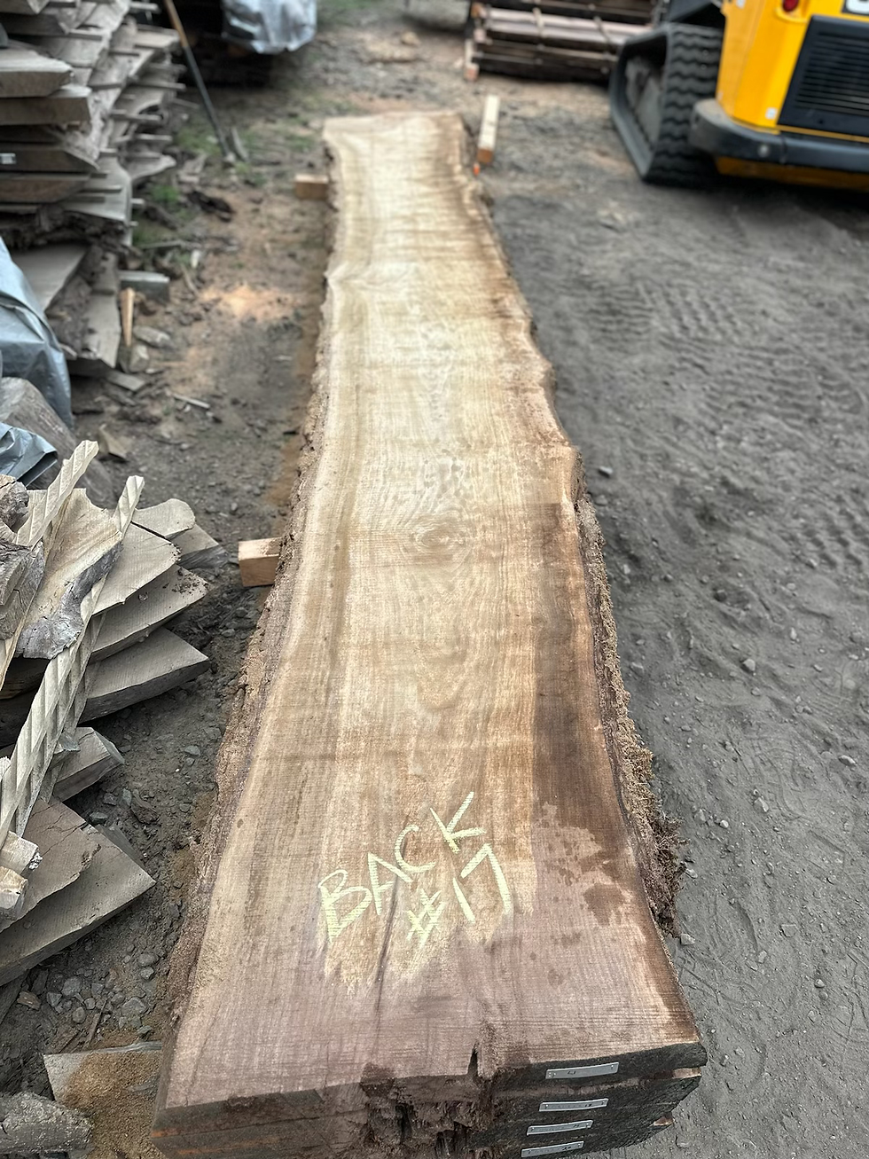 Thumbnail: Black Walnut 091323-17