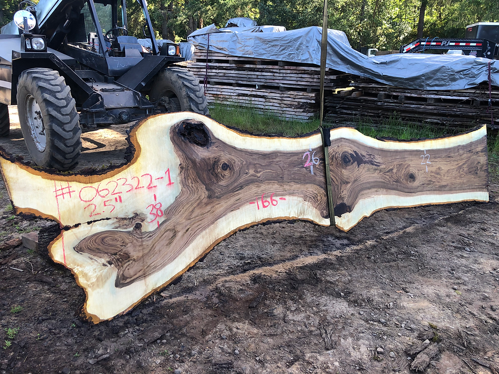 Thumbnail: Black Walnut 062322-1