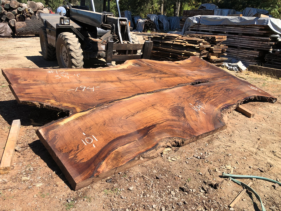 Thumbnail: Curly Black Walnut 080822-12