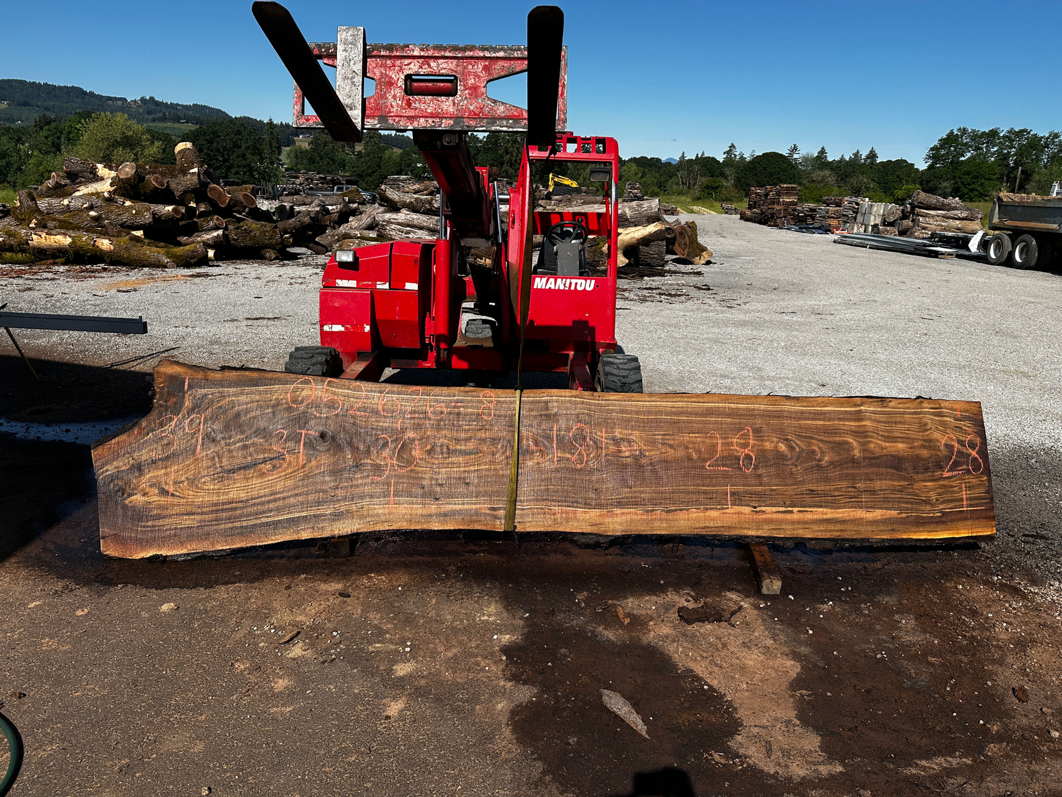 Claro Walnut 052626-8