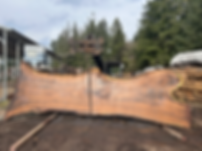 Claro Walnut 012226-11