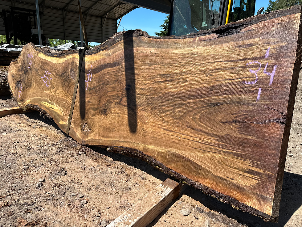 Thumbnail: Black Walnut 052824-14