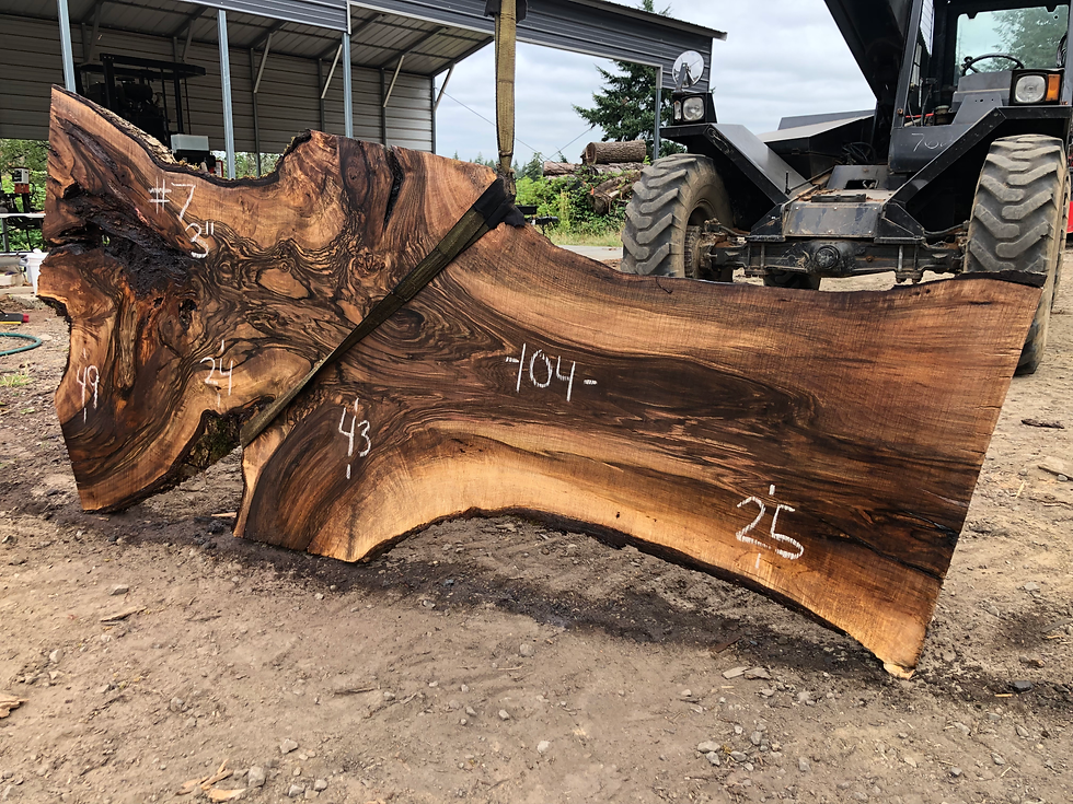 Thumbnail: English Walnut 071522-7