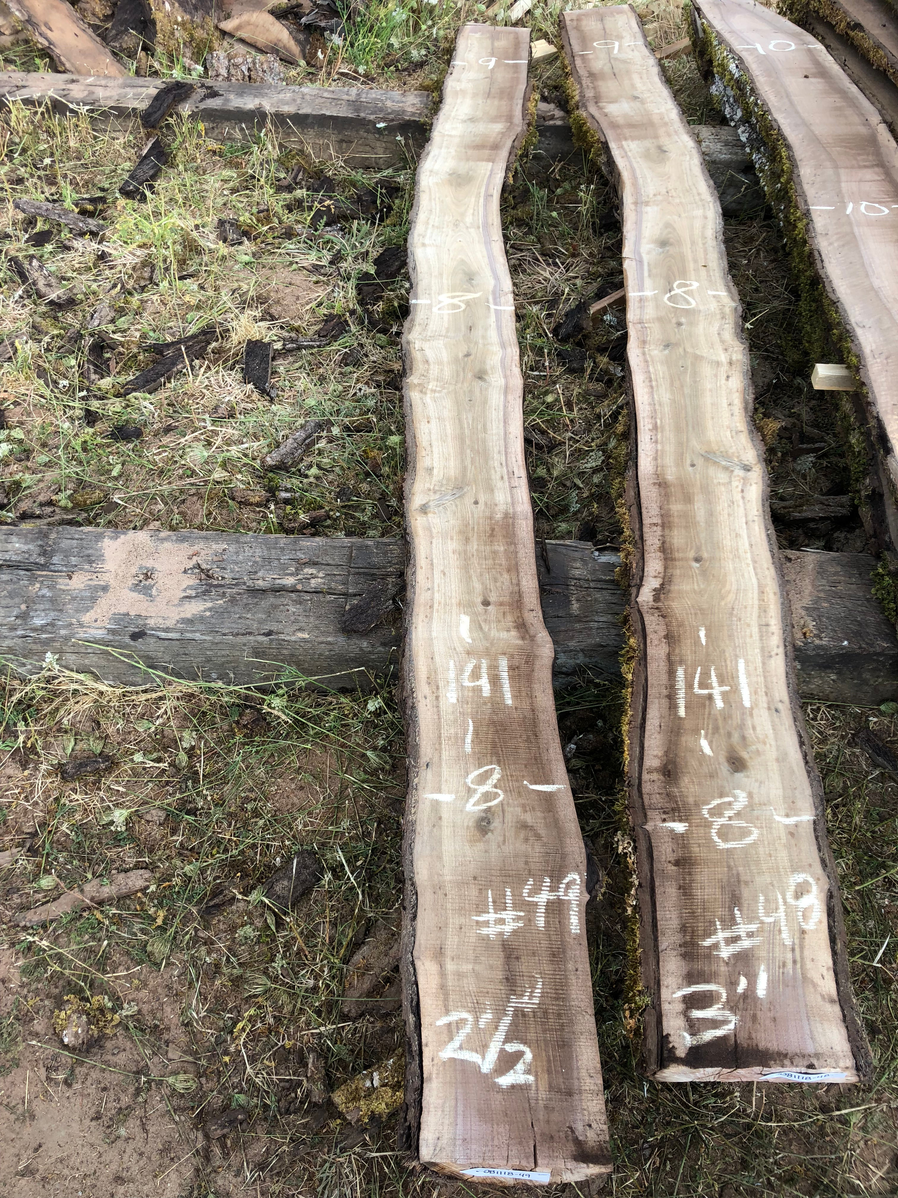 Black Walnut 081118-49